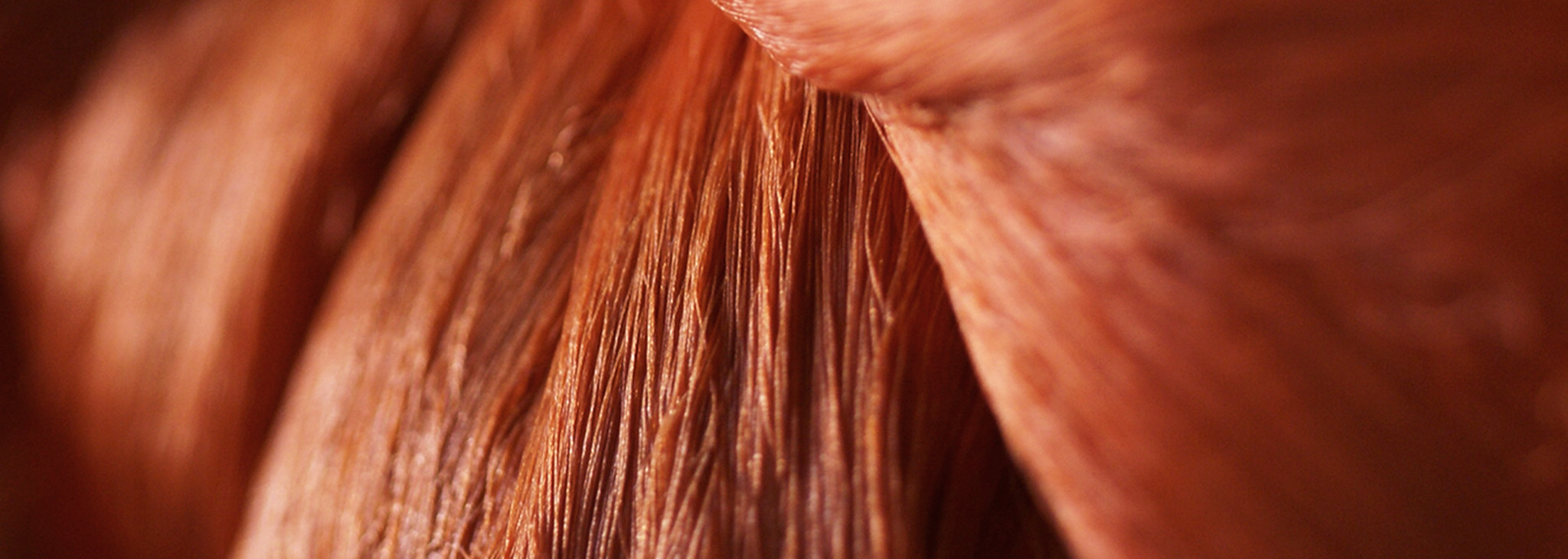 糸染めのメイン写真